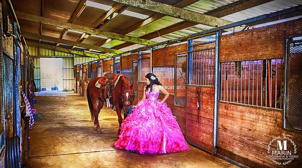 Quinceanera Photographer Houston